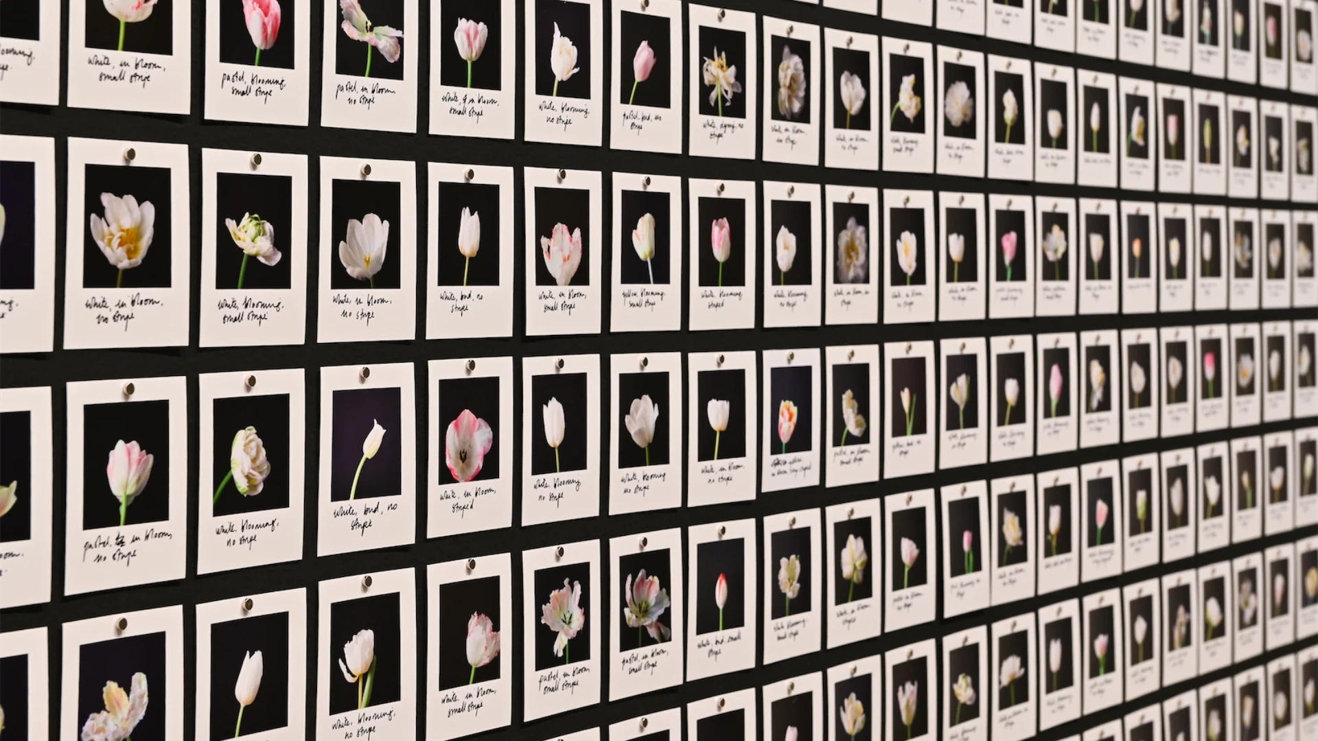 Vista de la exposici&oacute;n 'El sue&ntilde;o de la raz&oacute;n' en Fundaci&oacute;n Telef&oacute;nica