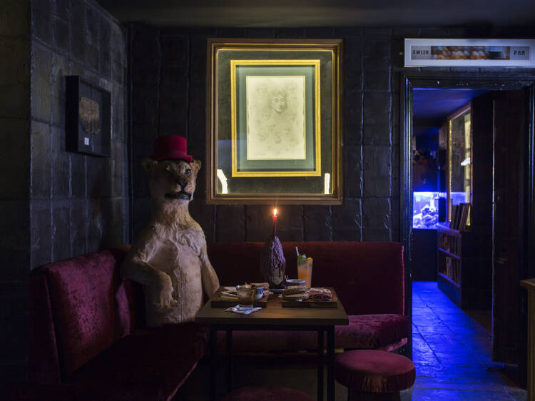 The Viktor Wynd Museum's curious artefacts The Viktor Wynd Museum's curious artefacts