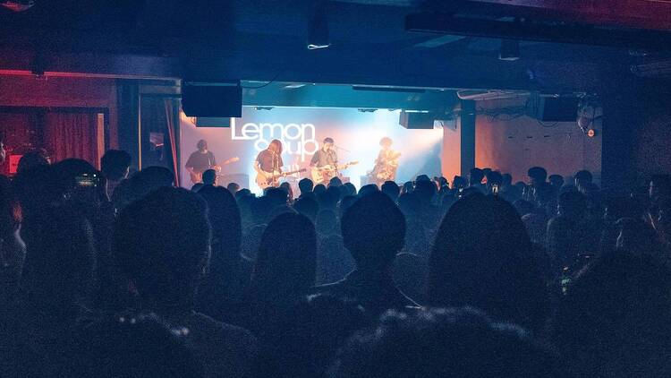 Penguin villa x Lemon soup Penguin villa x Lemon soup