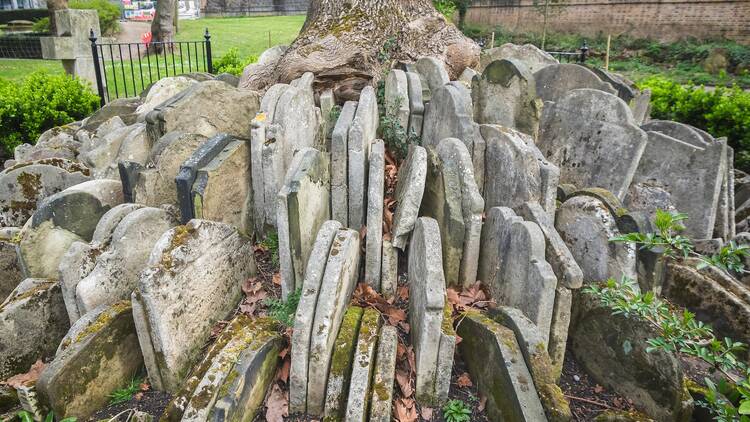 The Hardy Tree's mysterious gravestone formation The Hardy Tree's mysterious gravestone formation