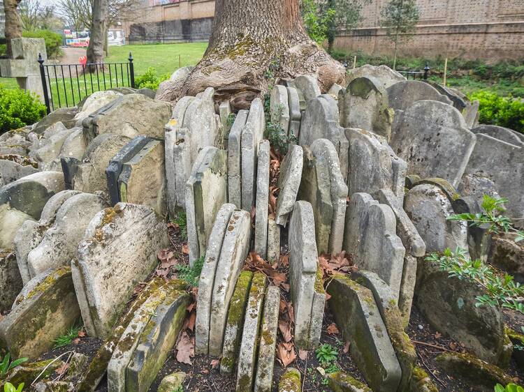 The Hardy Tree's mysterious gravestone formation The Hardy Tree's mysterious gravestone formation