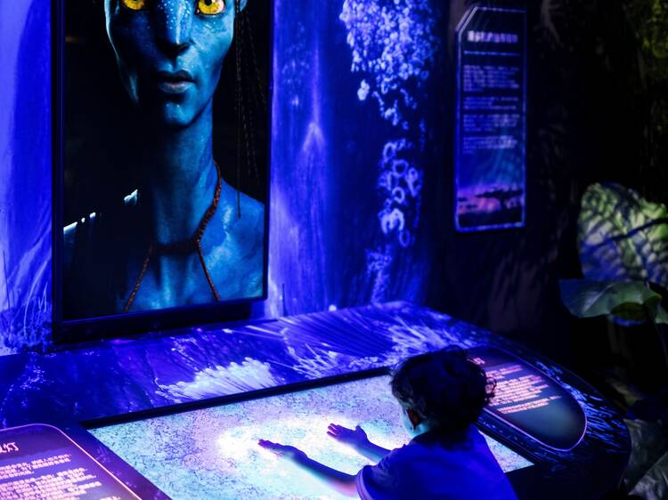 Las mejores exposiciones inmersivas de Madrid que puedes ver ahora mismo