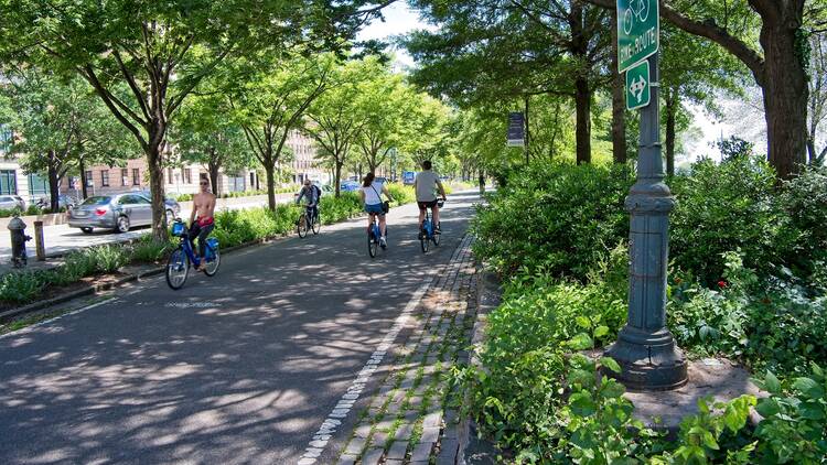 Bicycles are ridden on the Greenway bicycle path along the West Side Highway
