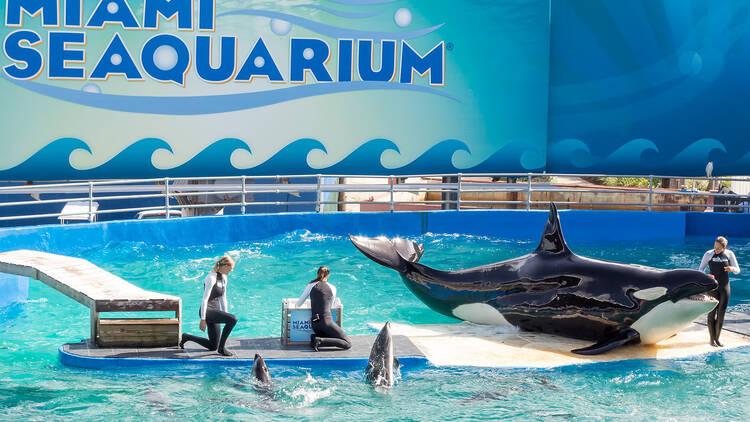 Miami Seaquarium