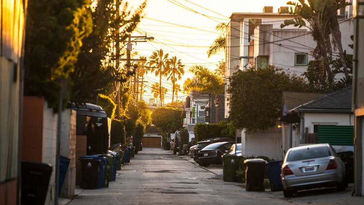 Los Angeles alleyway with garbage cans