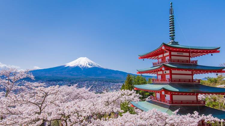 Cherry tree and the pagoda, which was Fuji and background