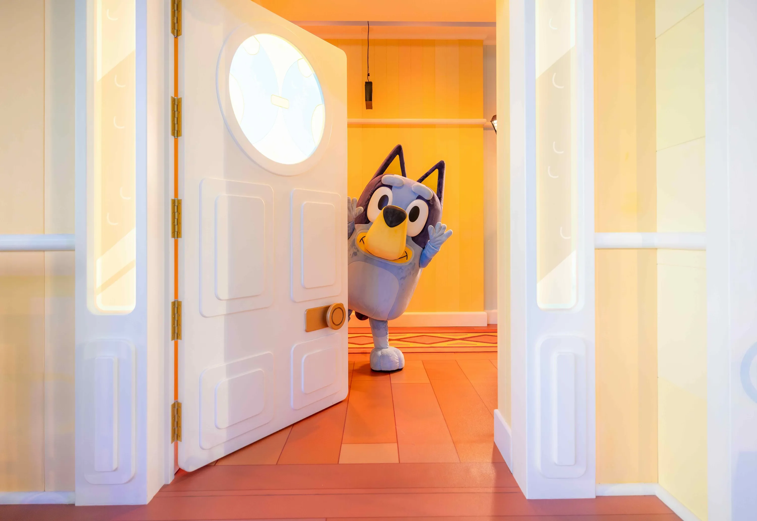 Bluey looking outside door