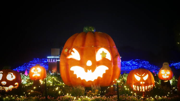 Halloween in the Evening Forest