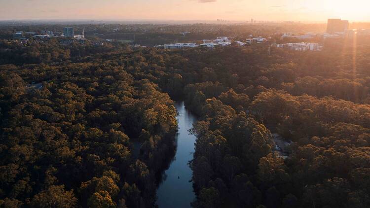 Scenic views across Lane Cove National Park, Sydney.