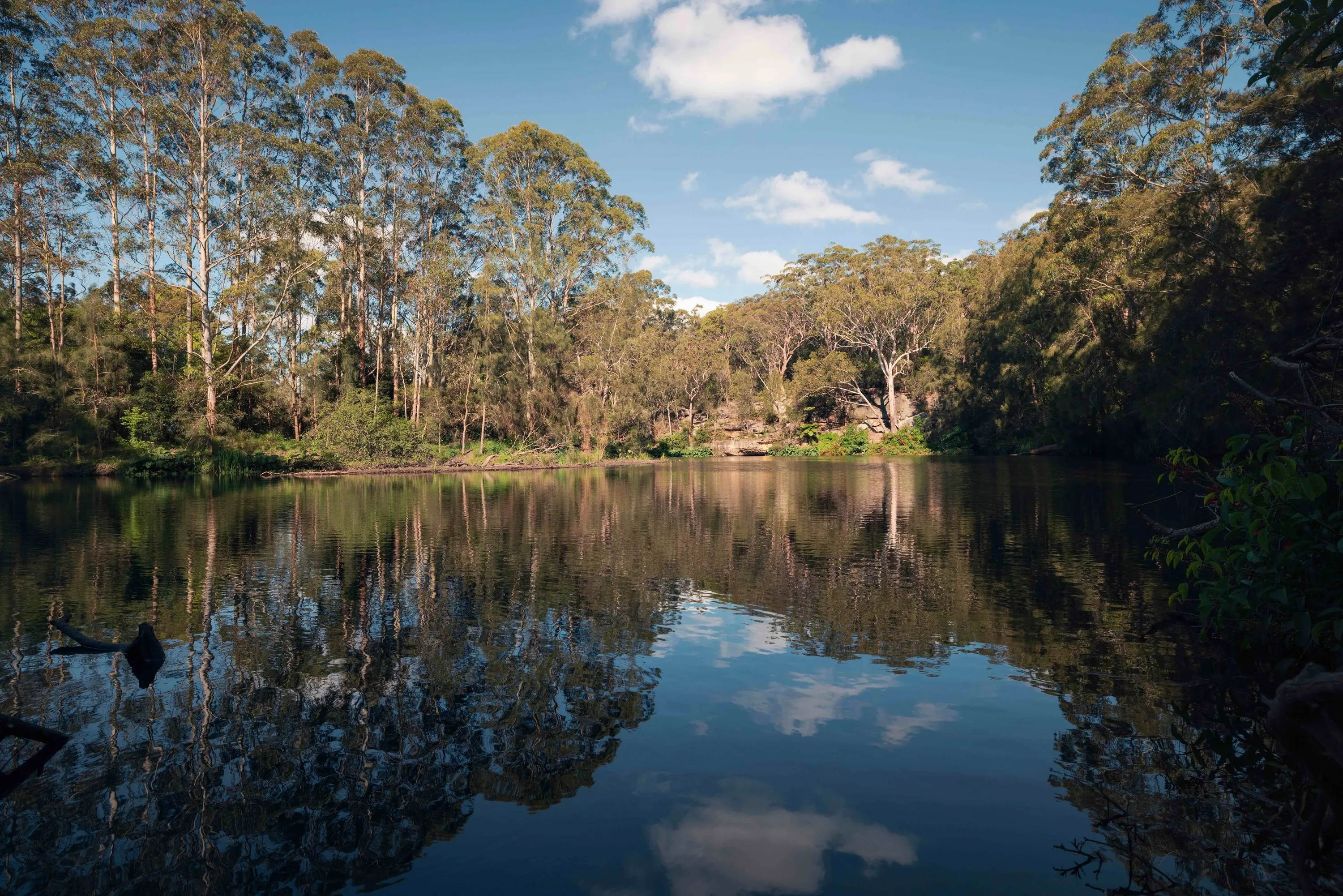 Scenic views across Lane Cove National Park, Sydney.