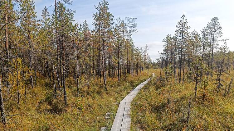 Hike stunning trails in the Arctic Circle Hiking Area Hike stunning trails in the Arctic Circle Hiking Area