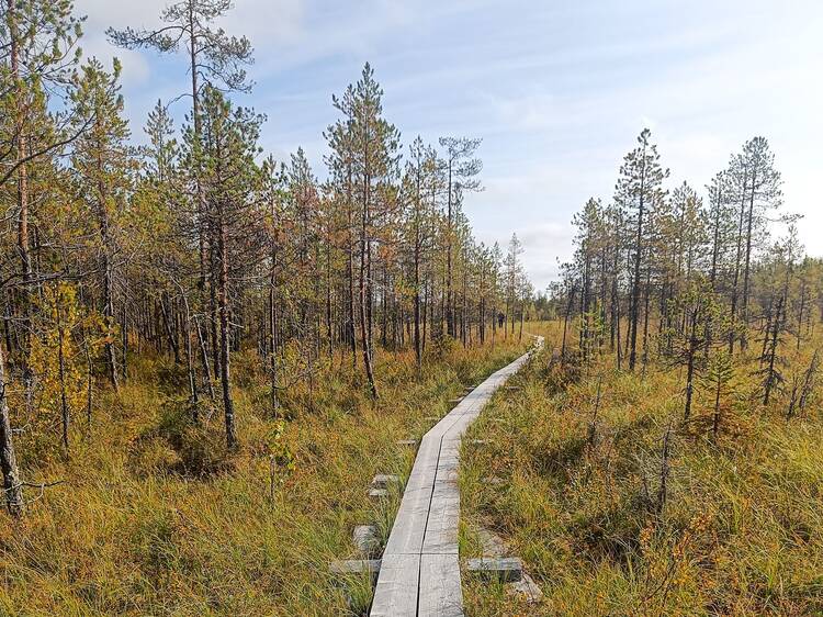 Hike stunning trails in the Arctic Circle Hiking Area Hike stunning trails in the Arctic Circle Hiking Area