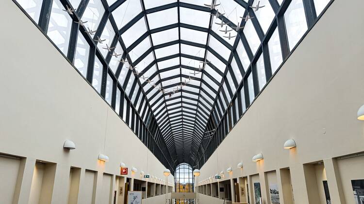 Dive into northern nature and history at Arktikum Dive into northern nature and history at Arktikum