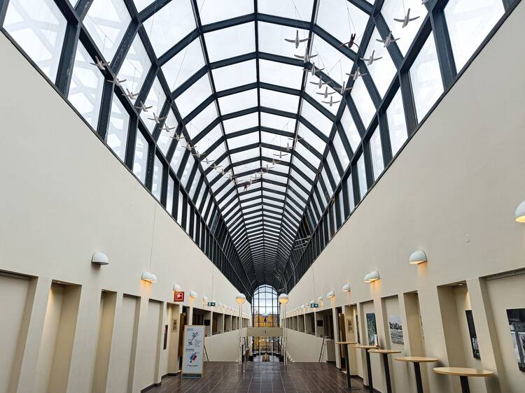 Dive into northern nature and history at Arktikum Dive into northern nature and history at Arktikum