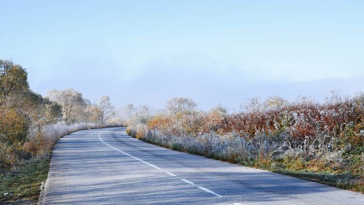 Frost