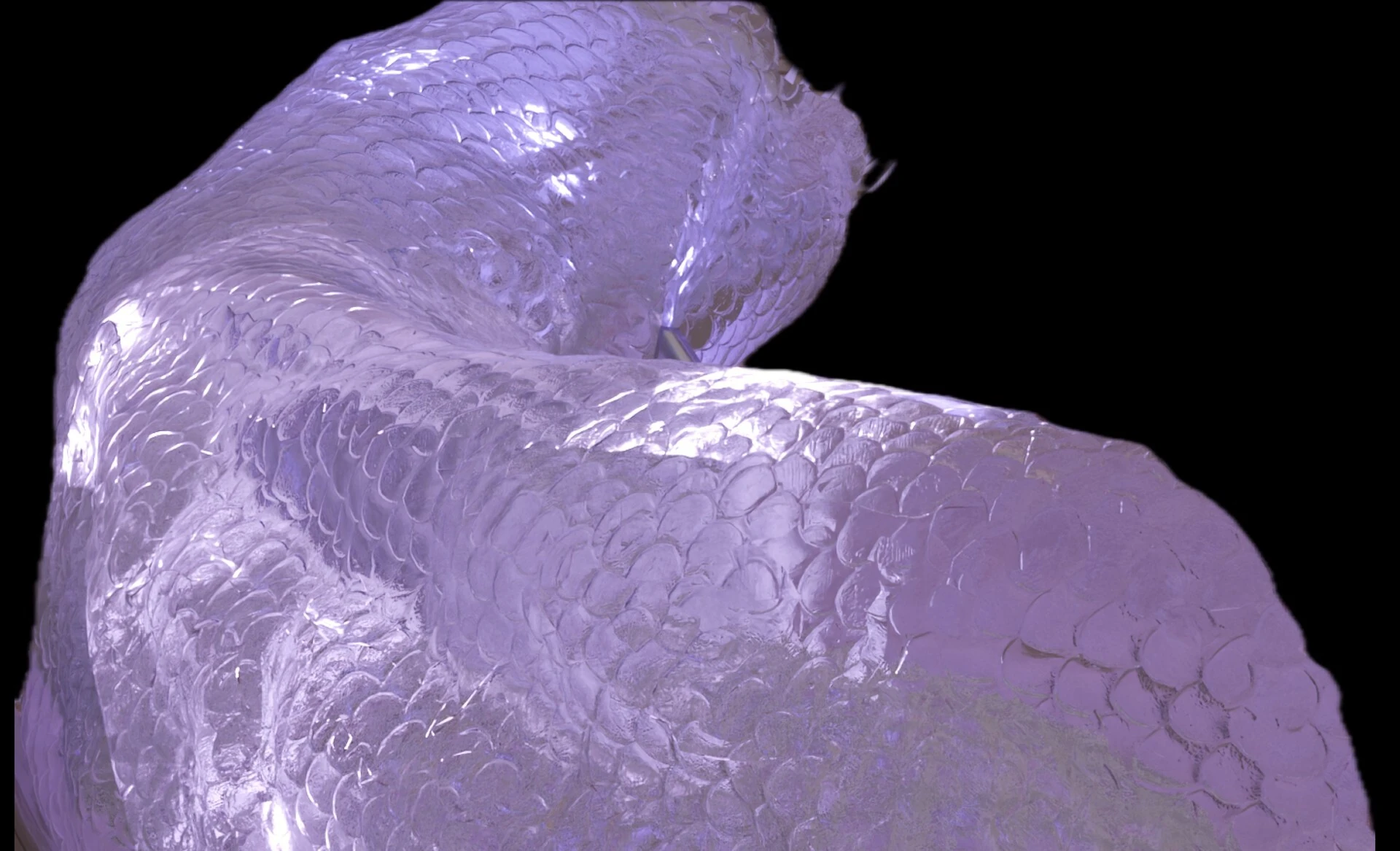 Digital image of an abstract serpent 