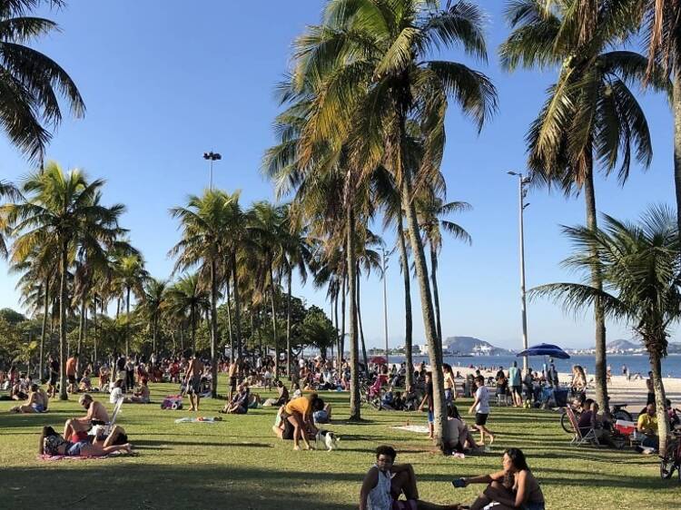 Fazer um piquenique Fazer um piquenique