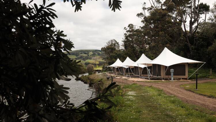 Apollo Bay campsite