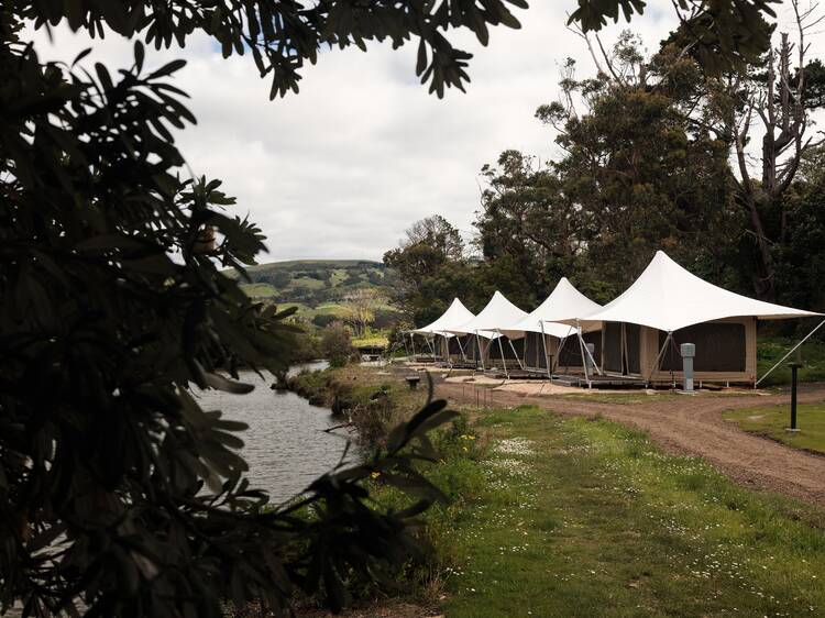 A luxe new riverside glamping experience has just opened in Apollo Bay A luxe new riverside glamping experience has just opened in Apollo Bay