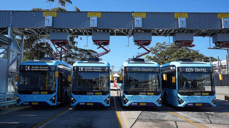 Electric busses at Brookvale 