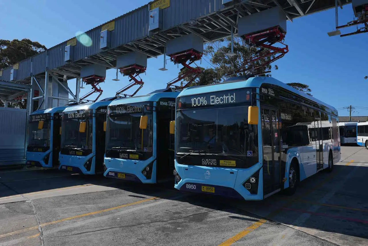 Electric busses at Brookvale