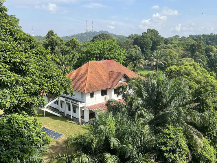 A new nature park will be built at Bukit Timah Turf City, with a 100m corridor connecting two forests A new nature park will be built at Bukit Timah Turf City, with a 100m corridor connecting two forests