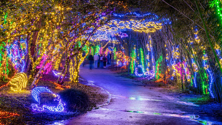 Magic Christmas in Lights | Theodore, AL