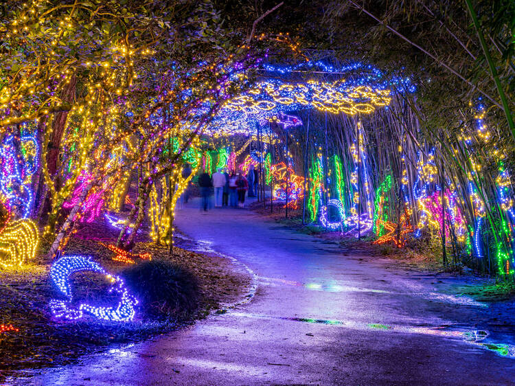Magic Christmas in Lights | Theodore, AL