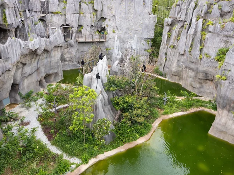 16 parks and establishments in Singapore are awarded for stellar landscape design by NParks 16 parks and establishments in Singapore are awarded for stellar landscape design by NParks