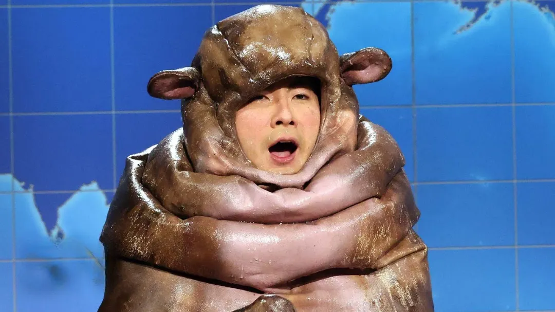 Moo Deng the pygmy hippo