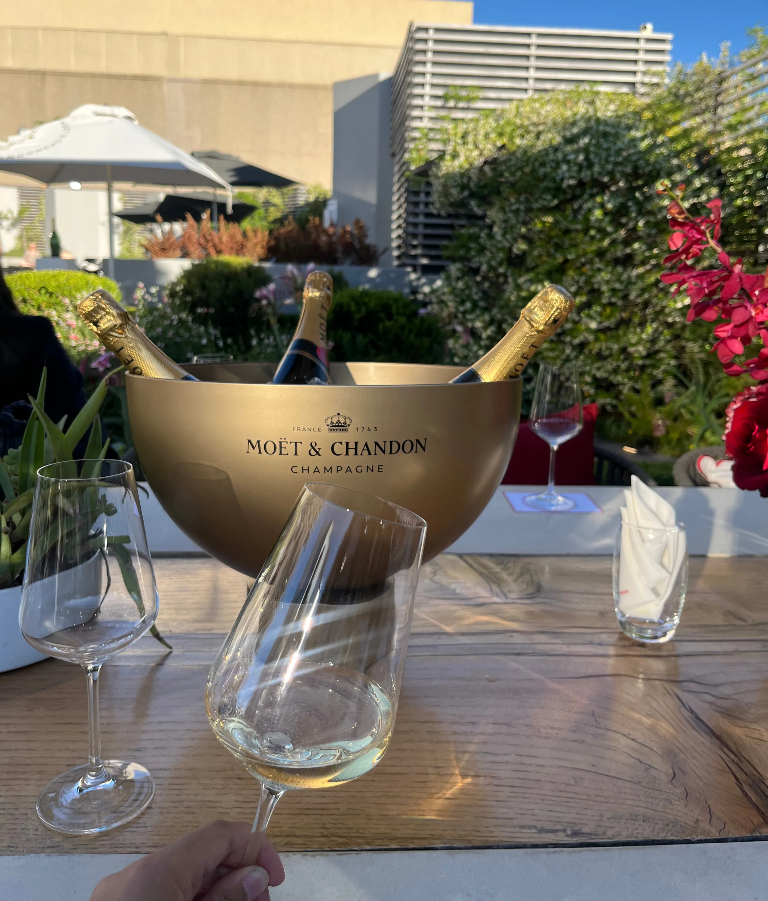 New Tulip shaped glasses at Champagne Day with Moët & Chandon at the San Deck