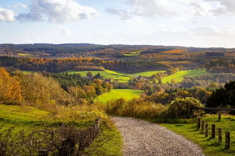 Box Hill Surrey