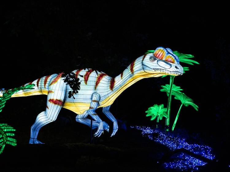 Luzes Selvagens: centenas de animais iluminam as noites do Zoo Santo Inácio