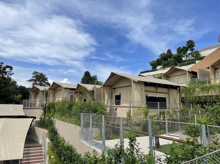 I stayed at the new Camp Colugo in Singapore – and it’s the wildest staycation yet I stayed at the new Camp Colugo in Singapore – and it’s the wildest staycation yet