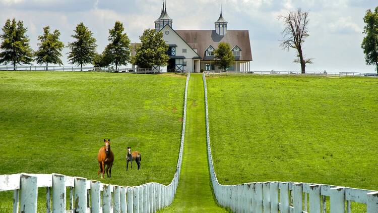 Lexington, Kentucky