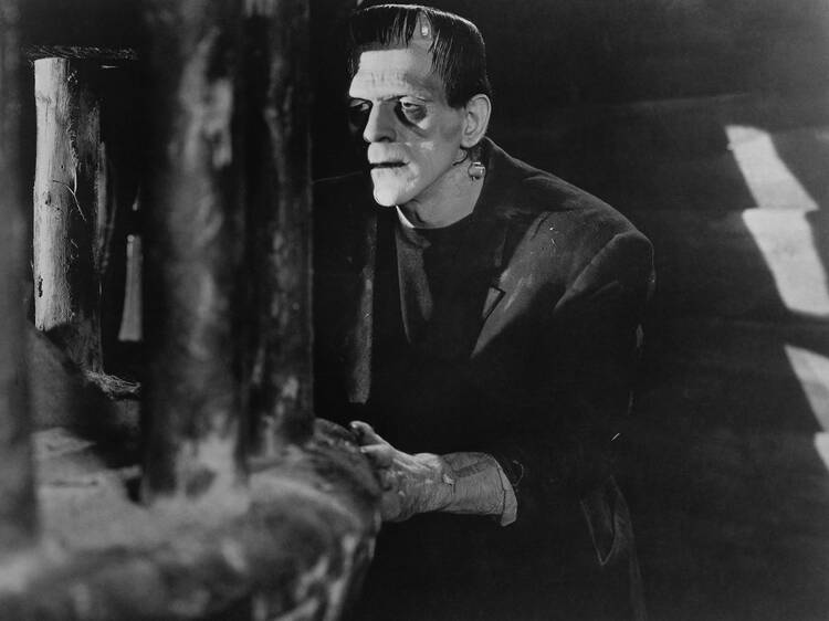 Frankenstein (1931)