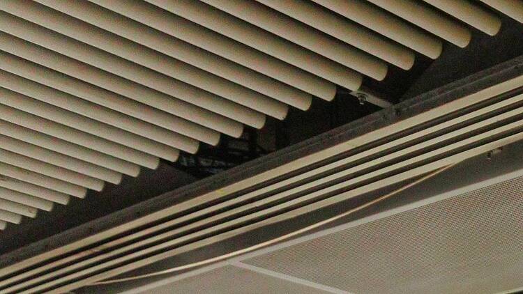 維港海上大巡遊港鐵打卡位