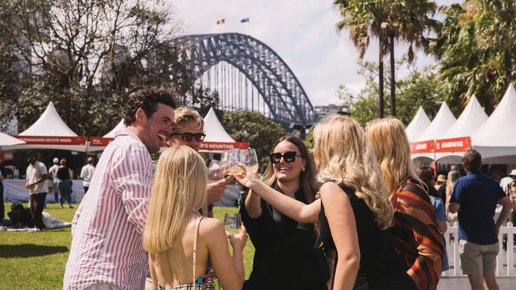 Friends cheersing wine