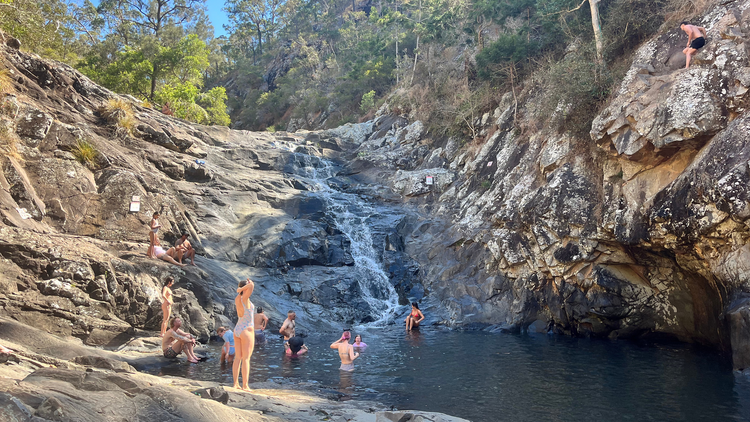 Day trip to Tamborine National Park