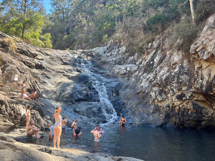Day trip to Tamborine National Park