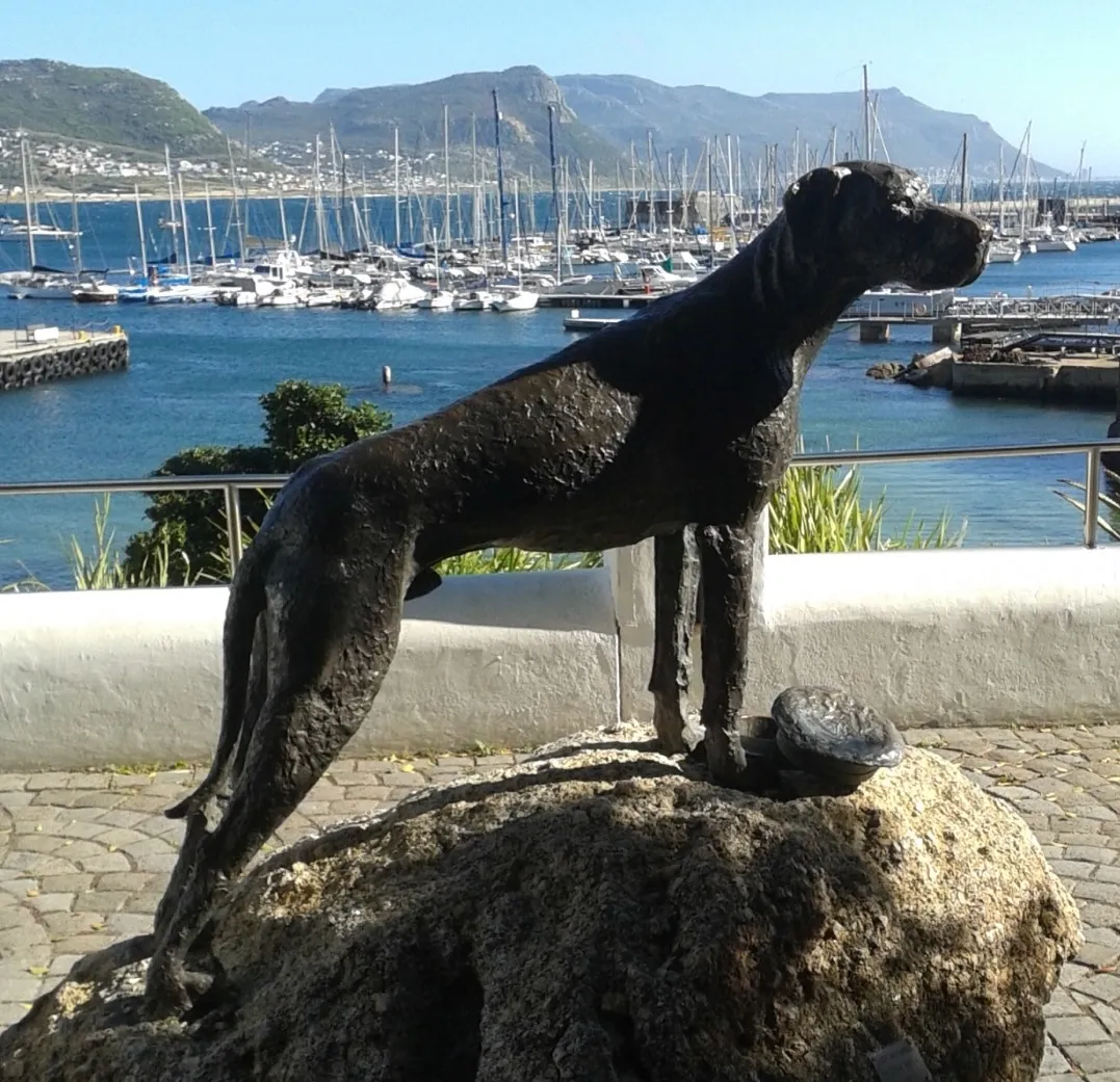 The statue of Just Nuisance found in Jubilee Square in Simon's Town.