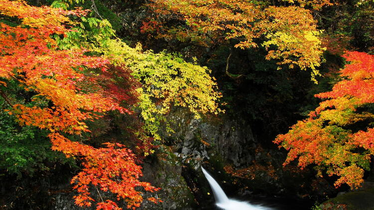 TIFFANY supports “LOVE ＆ HOPE” by Leslie Kee