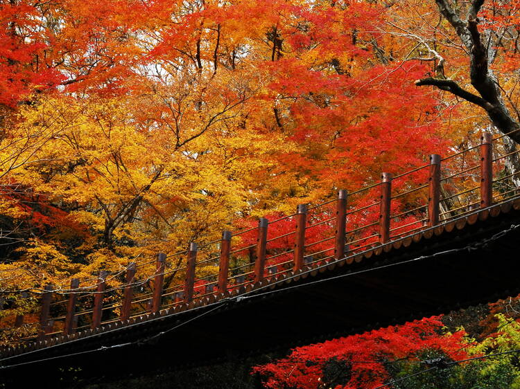11月にしかできないこと
