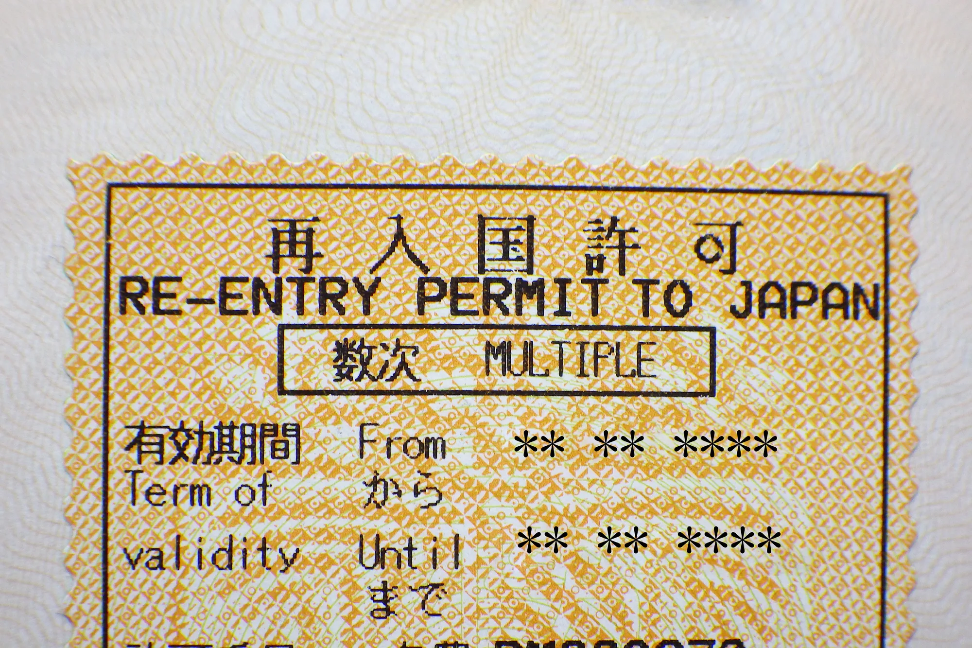 Multiple entry visa sticker