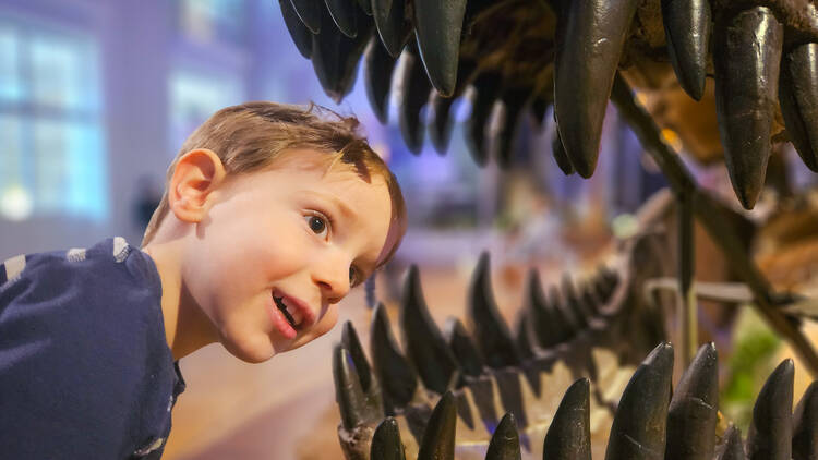 Natural History Museum (Luomus) Natural History Museum (Luomus)