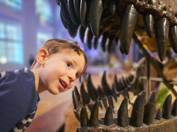 Natural History Museum (Luomus) Natural History Museum (Luomus)