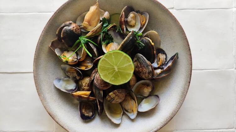 Amêijoas à Bolhão Pato