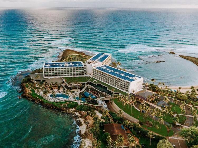 The 15 best hotels in Hawaii for 2025 The 15 best hotels in Hawaii for 2025
