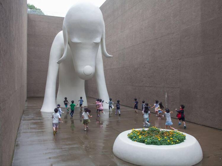 青森県立美術館 青森県立美術館