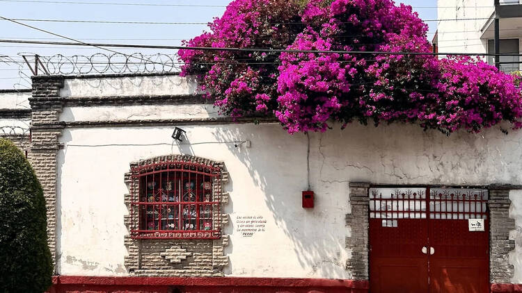 ポルタレス(メキシコシティ) ポルタレス(メキシコシティ)